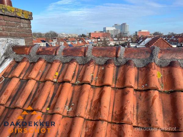 Pannendak met nokvorst en schoorsteen, dakrenovatie in Oirschot