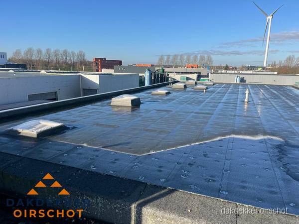 Plat dak bedrijfspand met bitumen dakbedekking en lichtkoepels in Oirschot