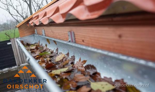 Dakgoot vol bladeren die gereinigd moet worden in Oirschot Dakgoot vol bladeren die gereinigd moet worden in Oirschot