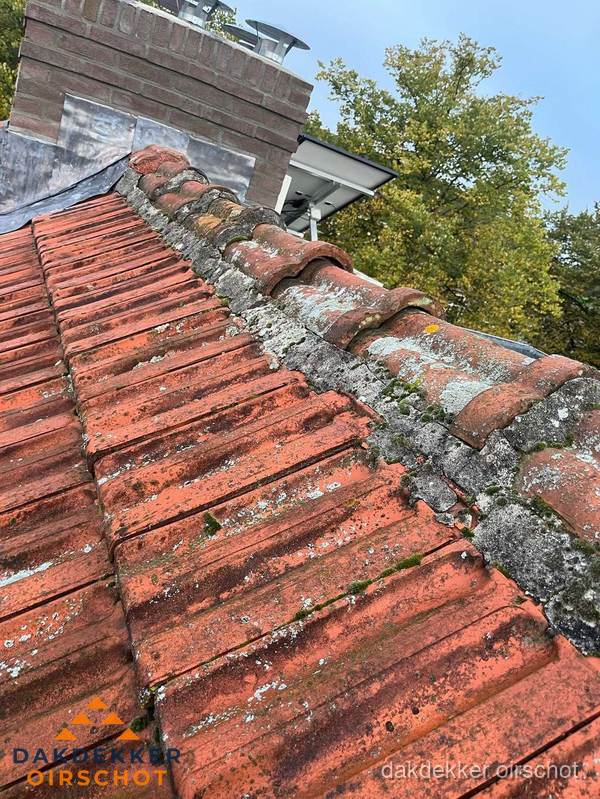 Verweerd hellend dak met mosgroei op nokvorst in Oirschot