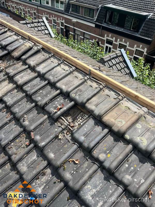 Dakonderhoud aan schuin pannendak met nokvernieuwing in Oirschot