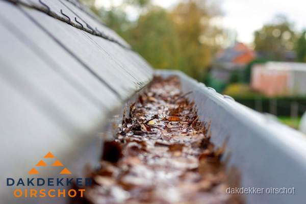 Verstopte dakgoot met bladeren schoonmaken in Oirschot